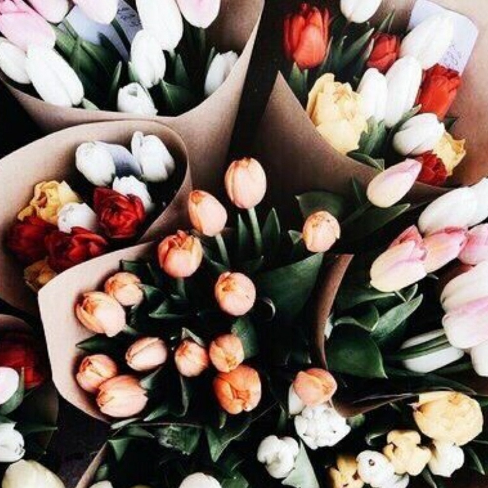 🌸Spring is here🌸